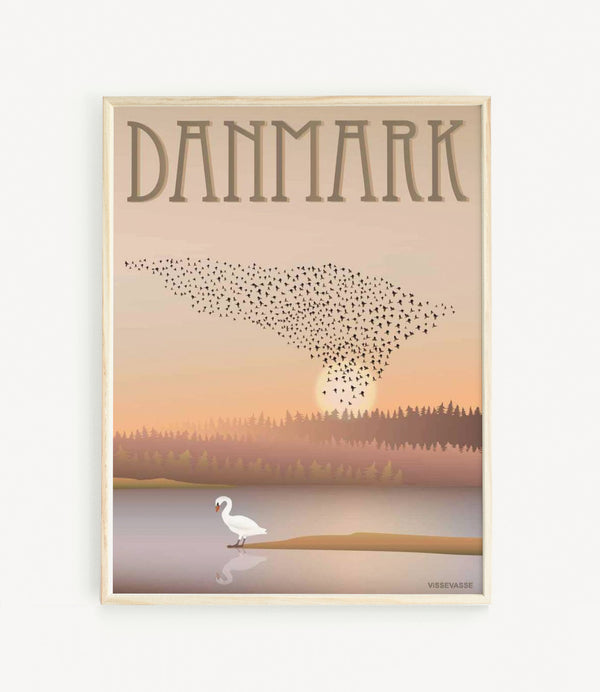 Dänemark - Vogelschwarm