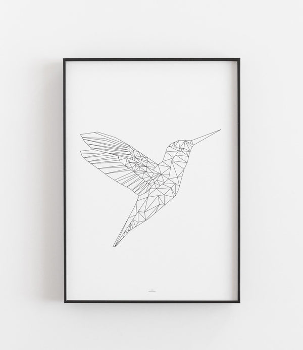 Kolibri geometrisch